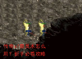����sf��������ô�ã����ֱؿ�����