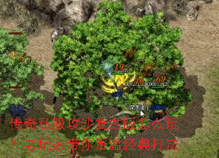 ����˽����ɳ���Ű���ô�棿����Ҵ������¾����