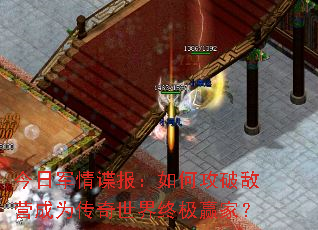���վ����������ι��Ƶ�Ӫ��Ϊ���������ռ�Ӯ�ң�