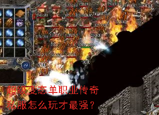 ������̬��ְҵ����˽����ô�����ǿ��